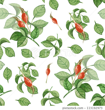 Seamless watercolor pattern. Rosehip, green rosehip leaves, red rosehip berries hand drawn in watercolor. Suitable for printing on fabric and paper, for textiles, scrapbooking, postcards. Seamless watercolor pattern. Rosehip, green rosehip leaves, red rosehip berries hand drawn in watercolor. Suitable for printing on fabric and paper, for textiles, scrapbooking, postcards. 113192973