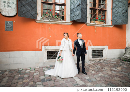 Wedding couple holding hands, groom and bride together on wedding day 113192990