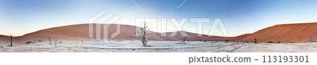 Panoramic picture of the Deadvlei salt pan in the Namib Desert with dead trees in front of red sand dunes in the morning light Panoramic picture of the Deadvlei salt pan in the Namib Desert with dead trees in front of red sand dunes in the morning light 113193301