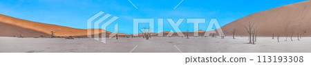 Panoramic picture of the Deadvlei salt pan in the Namib Desert with dead trees in front of red sand dunes in the morning light 113193308