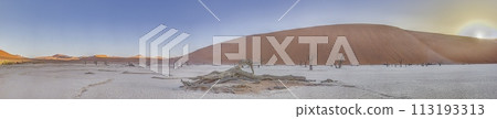 Panoramic picture of the Deadvlei salt pan in the Namib Desert with dead trees in front of red sand dunes in the morning light Panoramic picture of the Deadvlei salt pan in the Namib Desert with dead trees in front of red sand dunes in the morning light 113193313