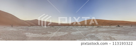 Panoramic picture of the Deadvlei salt pan in the Namib Desert with dead trees in front of red sand dunes in the morning light 113193322