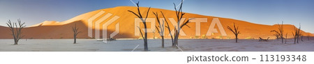 Panoramic picture of the Deadvlei salt pan in the Namib Desert with dead trees in front of red sand dunes in the morning light Panoramic picture of the Deadvlei salt pan in the Namib Desert with dead trees in front of red sand dunes in the morning light 113193348