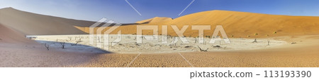 Panoramic view from the Big Daddy Dune in Sussusvlei onto the salt pan of Deathvlei with surrounding red dunes in the morning Panoramic view from the Big Daddy Dune in Sussusvlei onto the salt pan of Deathvlei with surrounding red dunes in the morning 113193390