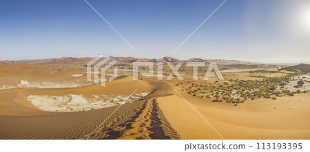 Panoramic picture of the Deadvlei salt pan in the Namib Desert with dead trees in front of red sand dunes in the morning light 113193395