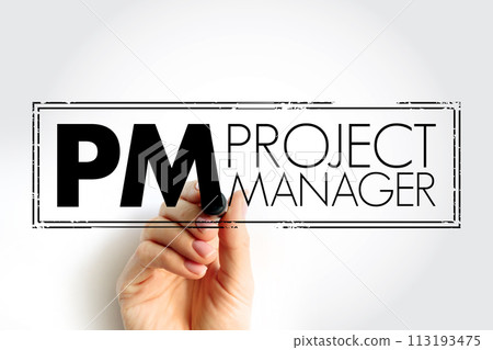 PM - Project Manager is a professional in the field of project management, acronym text concept stamp 113193475