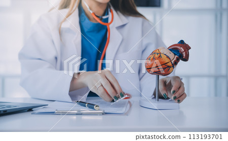 Doctor explaining heart to elderly patient. Doctor explaining the heart model. Doctors pen point to a model of the heart Doctor explaining heart to elderly patient. Doctor explaining the heart model. Doctors pen point to a model of the heart 113193701