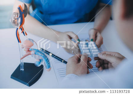 Doctor uses anatomical model to explain male urinary system. Model labeled with parts, doctor points and explains how they work together for urinary function, ensuring patient comprehension. Doctor uses anatomical model to explain male urinary system. Model labeled with parts, doctor points and explains how they work together for urinary function, ensuring patient comprehension. 113193728