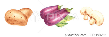 Set of vegetables compositions. Eggplants, potato and champignons. Watercolor hand drawn illustration in vintage style isolated on a white background. Set of vegetables compositions. Eggplants, potato and champignons. Watercolor hand drawn illustration in vintage style isolated on a white background. 113194293