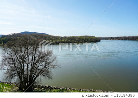 Danube river near Devin castle, scenic early springtime view with blue sky, Bratislava, Slovakia 113194396