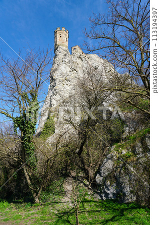 Devin castle fortified walls and Maiden tower on the bank of Danube, Bratislava, Slovakia 113194397