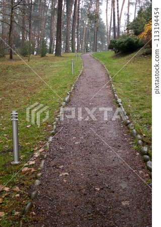 Beautiful path in the park with lanterns between the pines Beautiful path in the park with lanterns between the pines 113194454