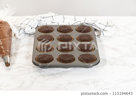 Just out of the oven, these delectable chocolate cupcakes are now resting and cooling on the kitchen counter, filling the air with their tempting aroma. 113194643
