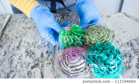 Using buttercream frosting, vanilla and chocolate cupcakes are intricately decorated to resemble various types of cactuses, creating a delightful and visually engaging dessert that showcases Using buttercream frosting, vanilla and chocolate cupcakes are intricately decorated to resemble various types of cactuses, creating a delightful and visually engaging dessert that showcases 113194660