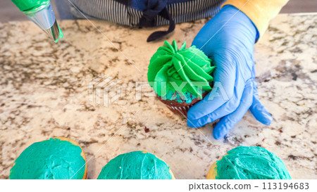 Using buttercream frosting, vanilla and chocolate cupcakes are intricately decorated to resemble various types of cactuses, creating a delightful and visually engaging dessert that showcases Using buttercream frosting, vanilla and chocolate cupcakes are intricately decorated to resemble various types of cactuses, creating a delightful and visually engaging dessert that showcases 113194683