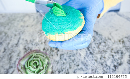 Using buttercream frosting, vanilla and chocolate cupcakes are intricately decorated to resemble various types of cactuses, creating a delightful and visually engaging dessert that showcases Using buttercream frosting, vanilla and chocolate cupcakes are intricately decorated to resemble various types of cactuses, creating a delightful and visually engaging dessert that showcases 113194755
