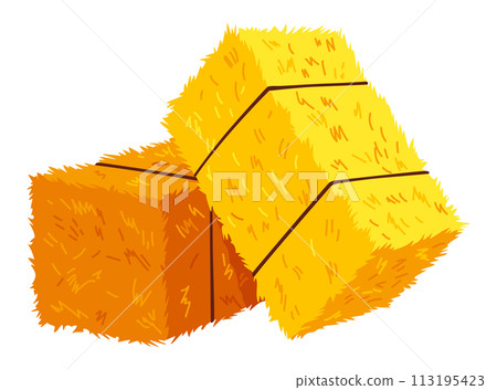Golden color bale of hay. Bale of hay or straw isolated on white background. Flat dried haystack, farming haymow bale hayloft, agricultural rural haycock Golden color bale of hay. Bale of hay or straw isolated on white background. Flat dried haystack, farming haymow bale hayloft, agricultural rural haycock 113195423