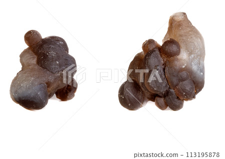 Macro mineral stone Chalcedony, Chalcedony screed on a white background Macro mineral stone Chalcedony, Chalcedony screed on a white background 113195878