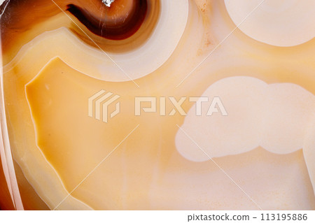 Macro mineral stone Yellow, brown Agate breed a white background  113195886