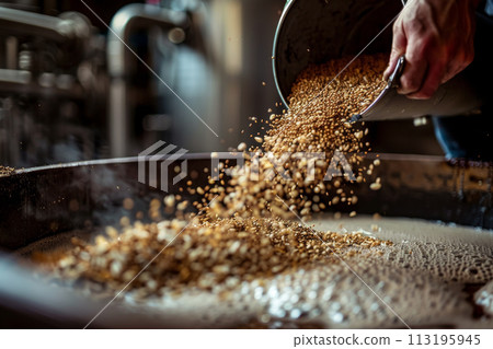 Brewer Pouring Malted Grains for Brewing 113195945