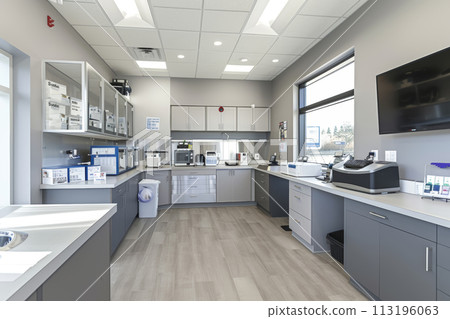 Modern Veterinary Clinic Interior Modern Veterinary Clinic Interior 113196063
