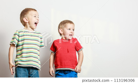 Little boys have fun together at home. 113196306