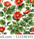 Potentilla anserina with red flowers 113196345