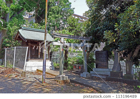 柴崎稻荷神社(調布) 柴崎稻荷神社(調布) 113196489