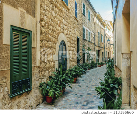 Traditional Cobblestone Alley in Soller, Mallorca with Lush Green Plants Traditional Cobblestone Alley in Soller, Mallorca with Lush Green Plants 113196660