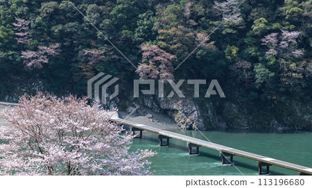 春天Iwama定居橋 春天Iwama定居橋 113196680