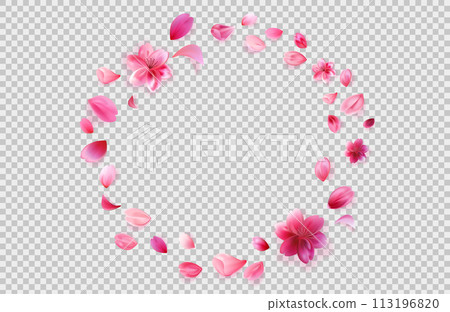 Flying sakura petals png isolated on transparent background. Round flower frame. Flying sakura petals png isolated on transparent background. Round flower frame. 113196820