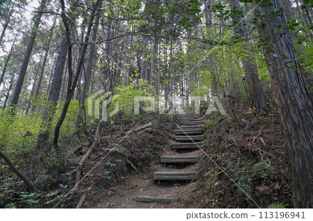 Let's go to the mountain, Mt. Iwayu Let's go to the mountain, Mt. Iwayu 113196941