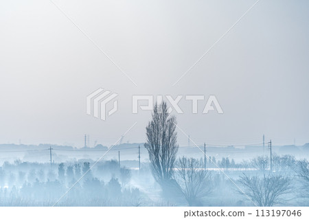 "Saitama Prefecture" Spring in the Minuma rice fields shrouded in morning mist "Saitama Prefecture" Spring in the Minuma rice fields shrouded in morning mist 113197046