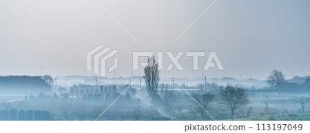 "Saitama Prefecture" Spring in the Minuma rice fields shrouded in morning mist 113197049