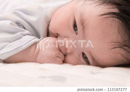 [寶寶吸吮拇指，面朝下躺著] 113197277