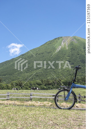 在大山吃草的奶牛（大山牧場牛奶村附近） 113197369