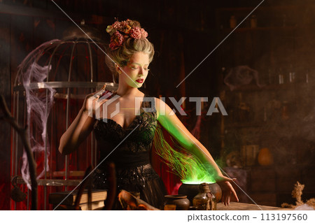 Halloween Witch with cauldron. Beautiful young Halloween Witch with cauldron. Beautiful young 113197560