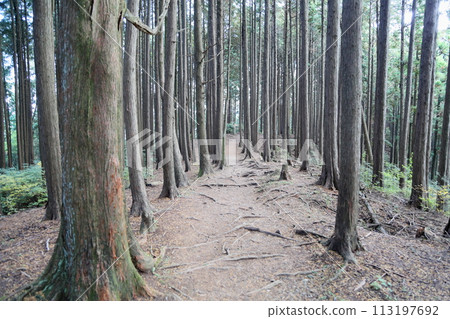 我們去岩湯山吧 我們去岩湯山吧 113197692