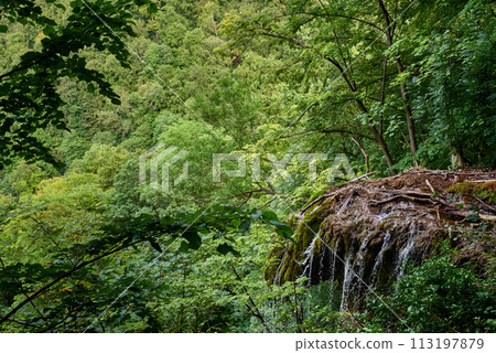 Summer Tranquility Haven: Serene Countryside Escape with Picturesque Mountain Views in Germany. Mountain River Serenity: Tranquil Escape amidst Scenic Black Forest Landscape in Germany. Tranquil 113197879