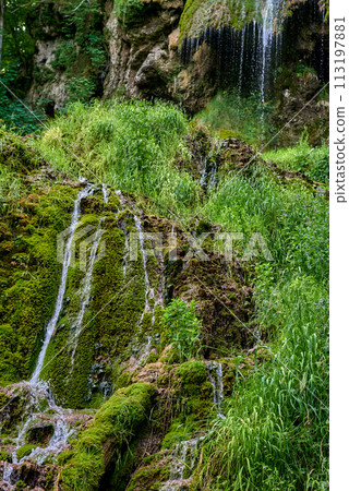 Majestic Cascade: Uracher Wasserfall Amidst Verdant Forest Landscape. Tranquil Retreat: Uracher Wasserfall - Nature's Symphony in Germany's Black Forest Majestic Cascade: Uracher Wasserfall Amidst Verdant Forest Landscape. Tranquil Retreat: Uracher Wasserfall - Nature's Symphony in Germany's Black Forest 113197881