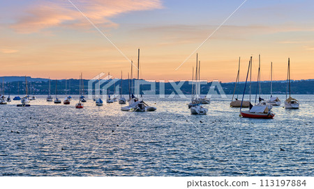 Bodensee Lake Sunrise Panorama. Morning Sunlight Over Tranquil Waters. Bodensee Lake Sunrise Panorama. Morning Sunlight Over Tranquil Waters. 113197884