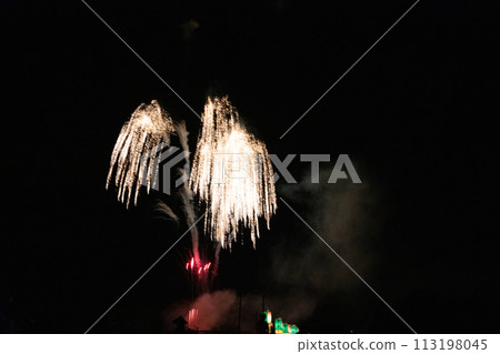 開花在夜空的煙花 開花在夜空的煙花 113198045