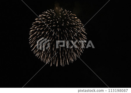 Fireworks blooming in the summer night sky 113198087