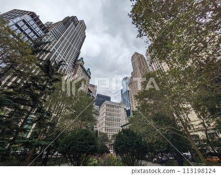 New York building group 113198124