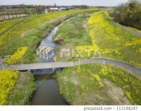 A rare submerged bridge (Kamatori Bridge) over the Kowagawa River and rape blossoms in full bloom, Kawagoe City, Saitama Prefecture (aerial photograph by drone) 113198287