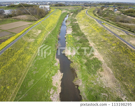 埼玉縣川越市小和河流盛開的油菜花(無人機空拍) 埼玉縣川越市小和河流盛開的油菜花(無人機空拍) 113198295