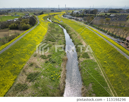 埼玉縣川越市小和河流盛開的油菜花(無人機空拍) 埼玉縣川越市小和河流盛開的油菜花(無人機空拍) 113198296
