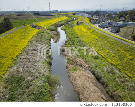 埼玉縣川越市小和河流盛開的油菜花(無人機空拍) 埼玉縣川越市小和河流盛開的油菜花(無人機空拍) 113198300