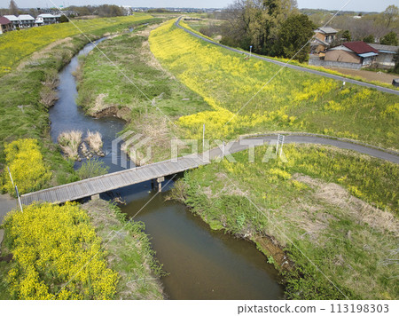 A rare submerged bridge (Kamatori Bridge) over the Kowagawa River and rape blossoms in full bloom, Kawagoe City, Saitama Prefecture (aerial photograph by drone) 113198303
