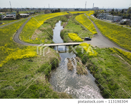 A rare submerged bridge (Kamatori Bridge) over the Kowagawa River and rape blossoms in full bloom, Kawagoe City, Saitama Prefecture (aerial photograph by drone) 113198304